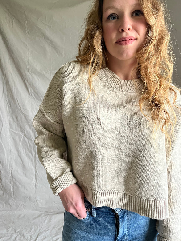 Free People Aspen sweater