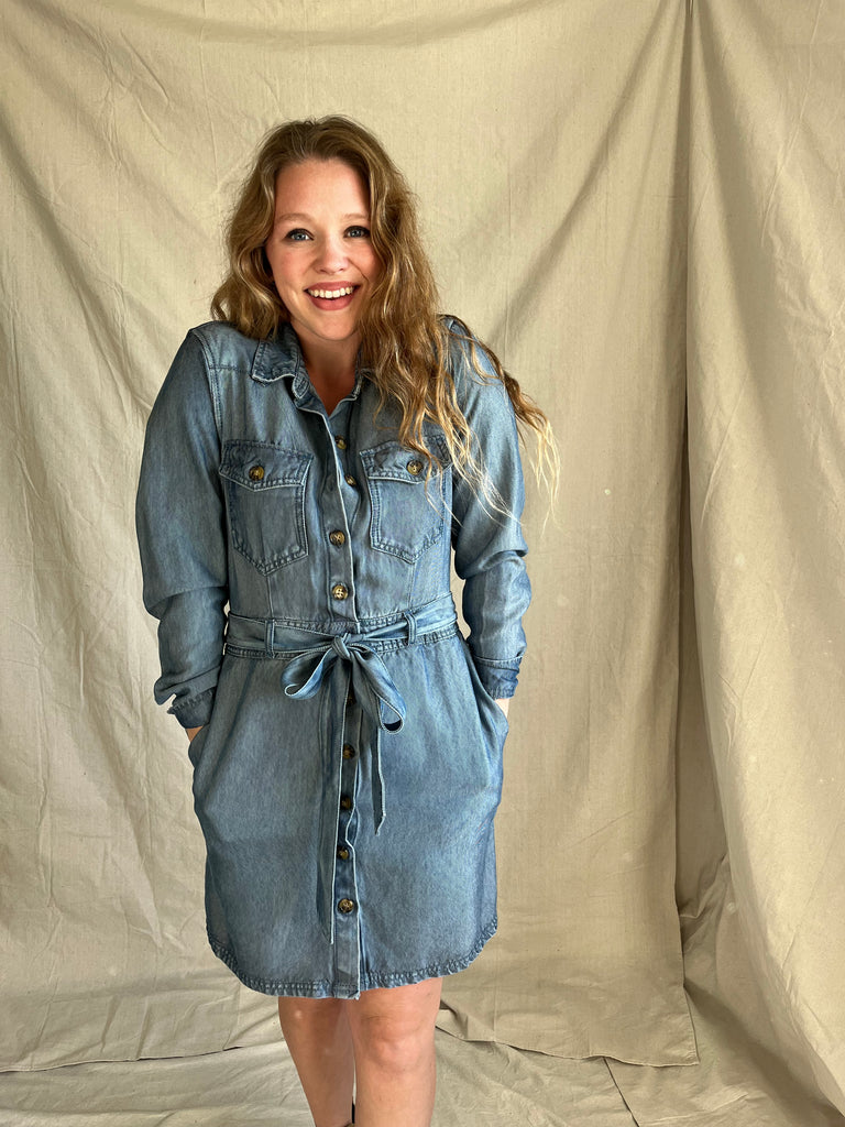 Forrest denim dress