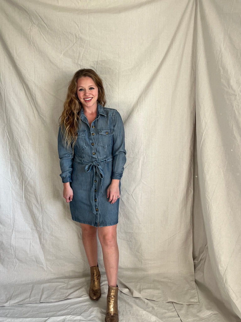 Forrest denim dress