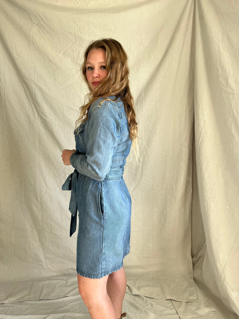 Forrest denim dress